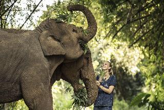 Anantara Golden Triangle Elephant Camp & Resort fotoÄŸrafÄ±