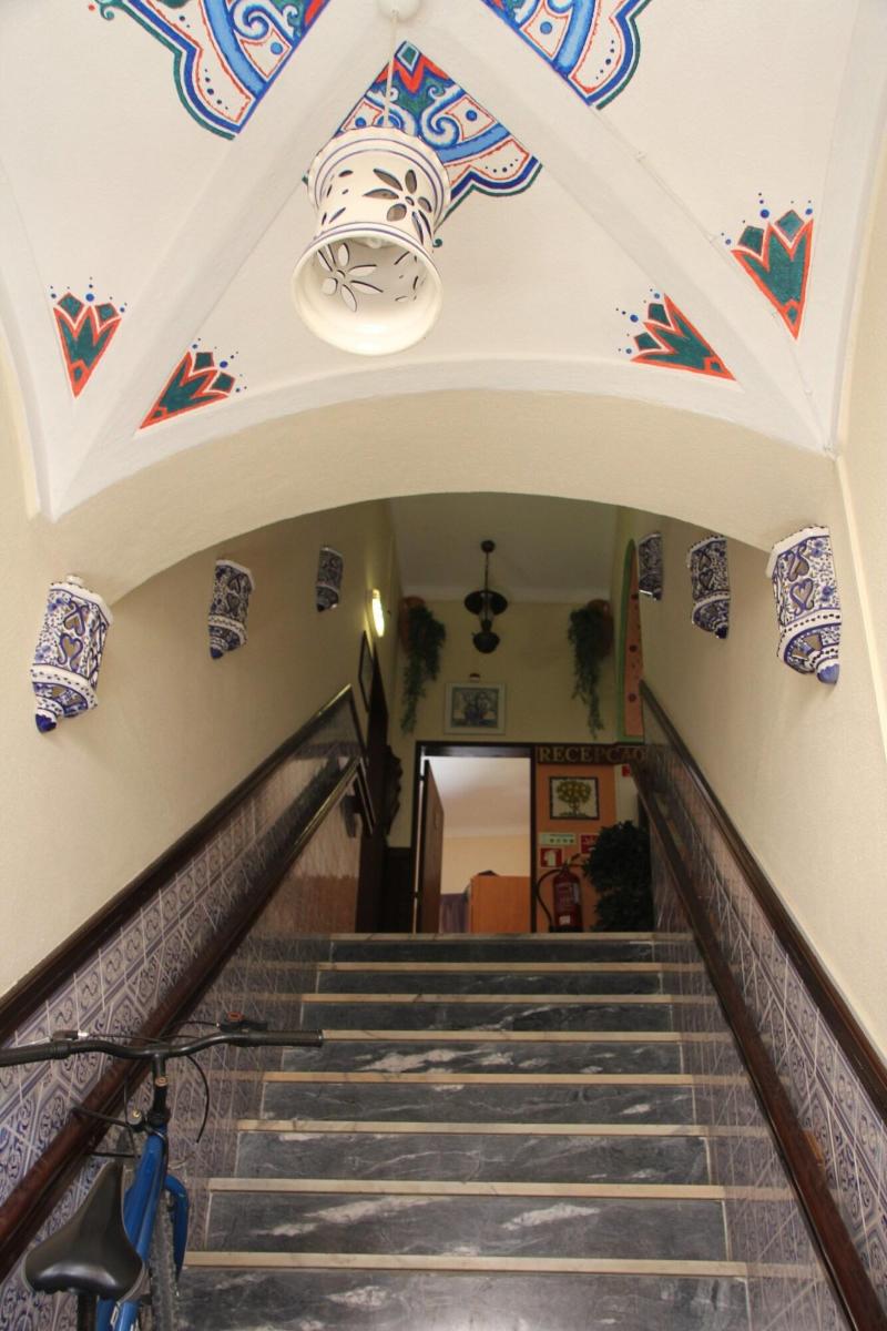 Pension Bicuar - Genel