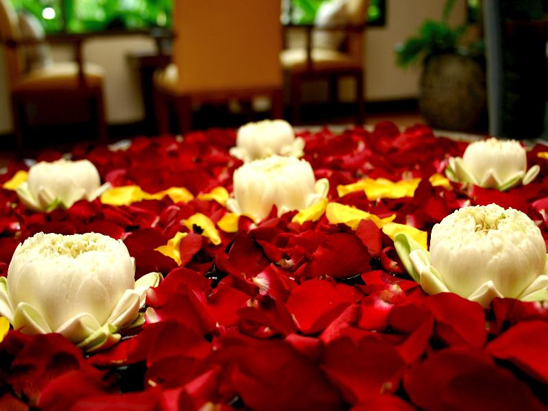 Diamond Cottage Resort & Spa - Aktivite
