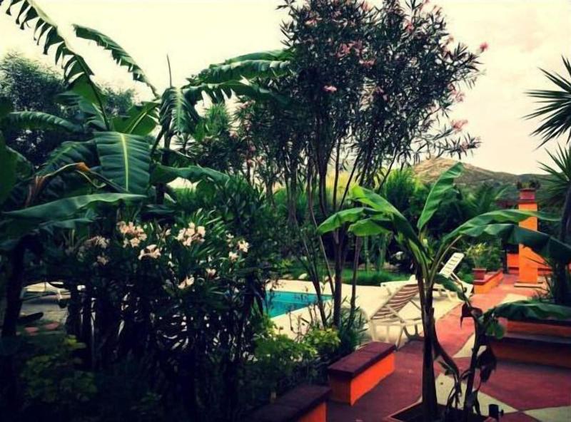 Villa El Minero - Genel