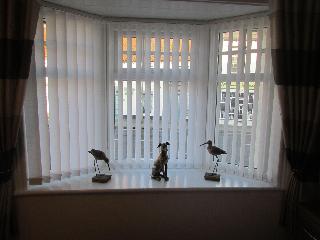 The Southgate Bed And Breakfast fotoÄŸrafÄ±