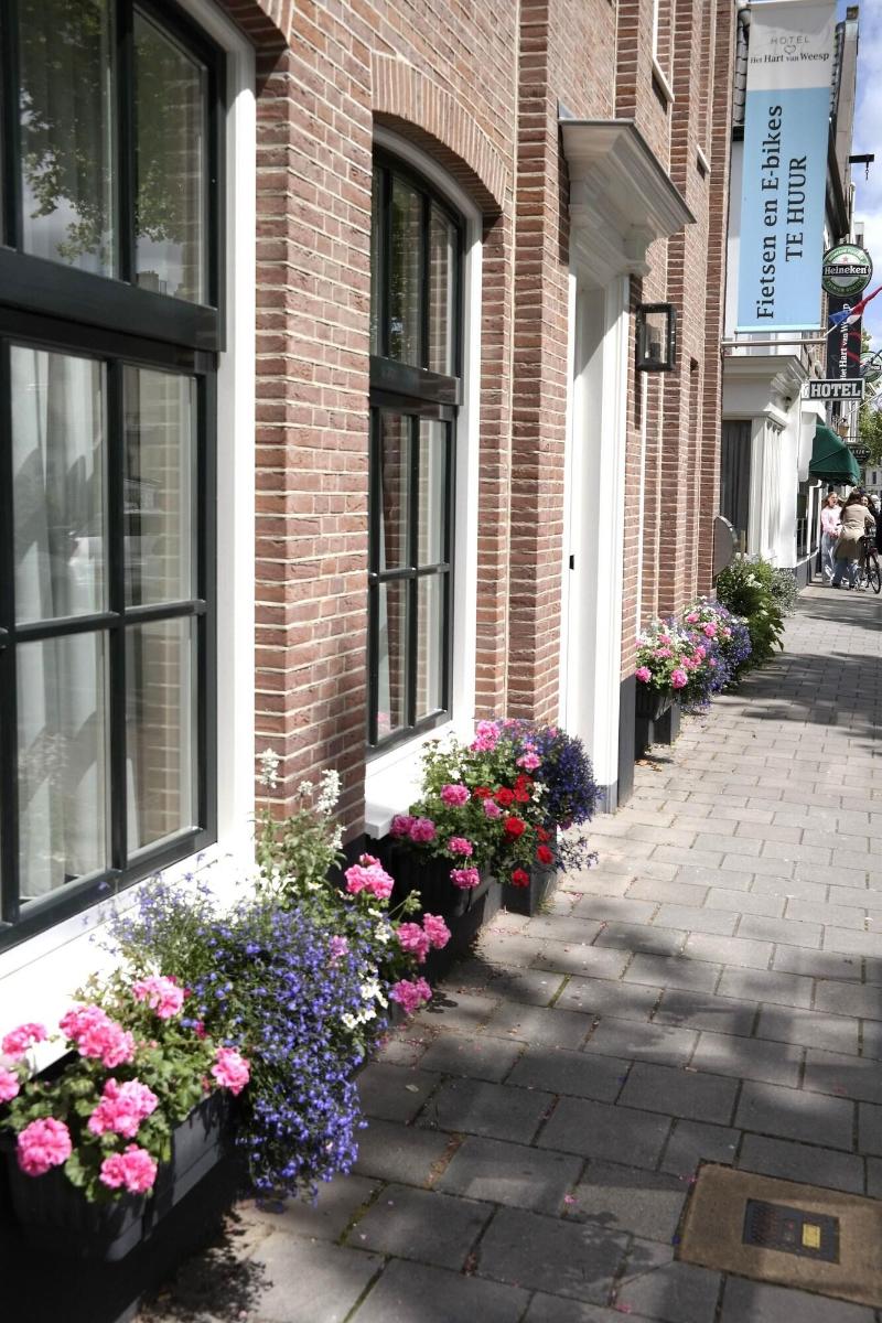 Het Hart Van Weesp - Aktivite