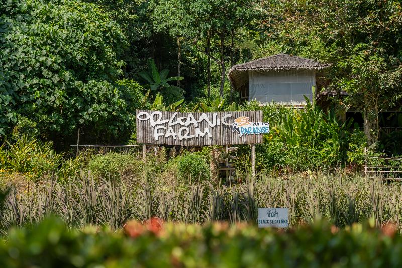 Paradise KohYao Resort - Aktivite