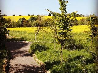 The Chilterns View fotoÄŸrafÄ±