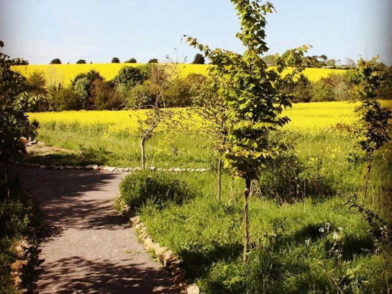 The Chilterns View - Genel