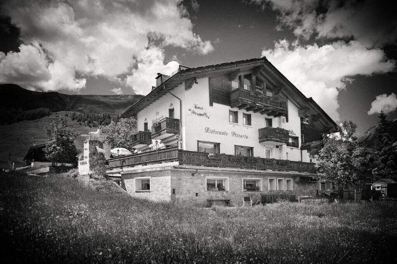 Hotel Steinbock - Genel