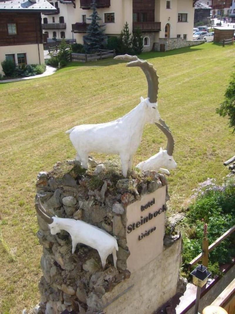 Hotel Steinbock - Genel
