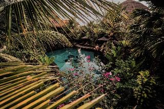 Honai Resort fotoÄŸrafÄ±