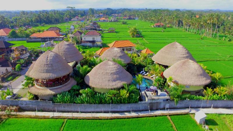 Honai Resort - Genel