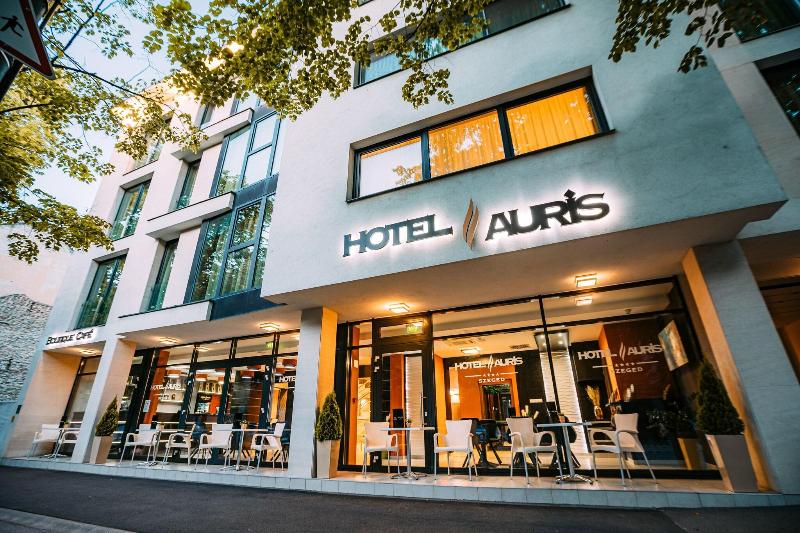 Auris Hotel - Genel