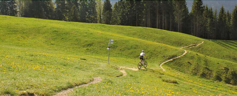 Hotel Alpenkönig - Aktivite