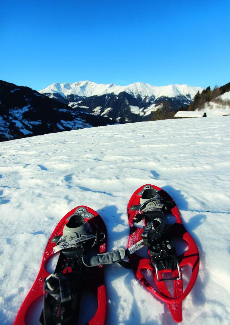 Hotel Alpenland - Aktivite