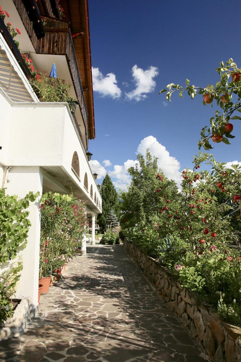 Hotel Alpenland - Genel