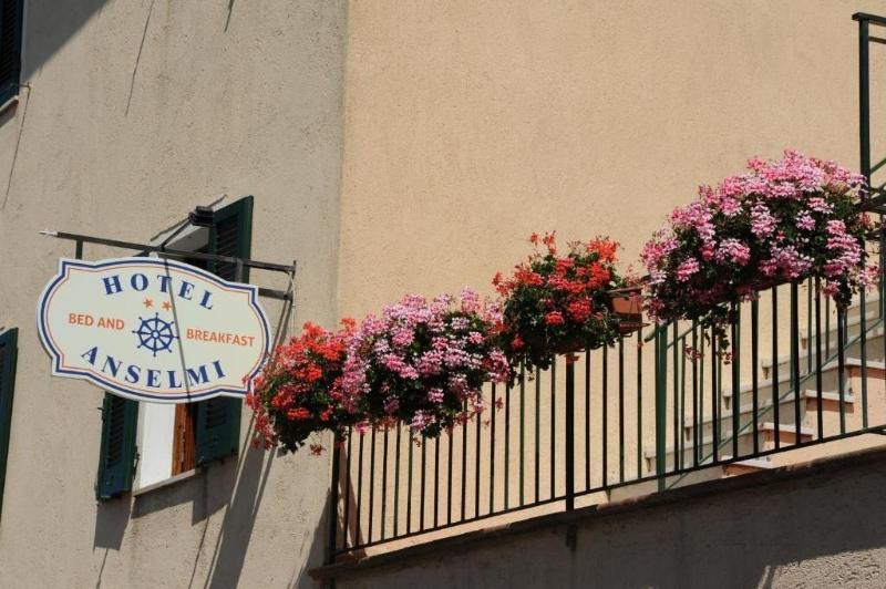 Hotel Anselmi - Genel