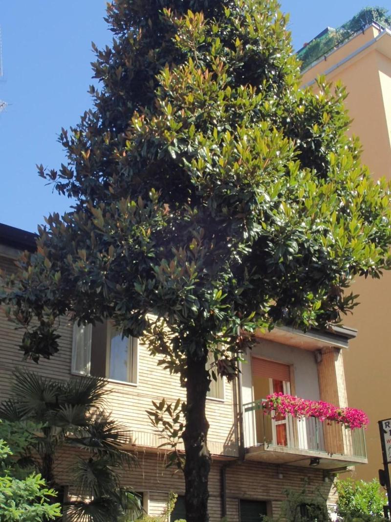 Hotel Brivio - Genel