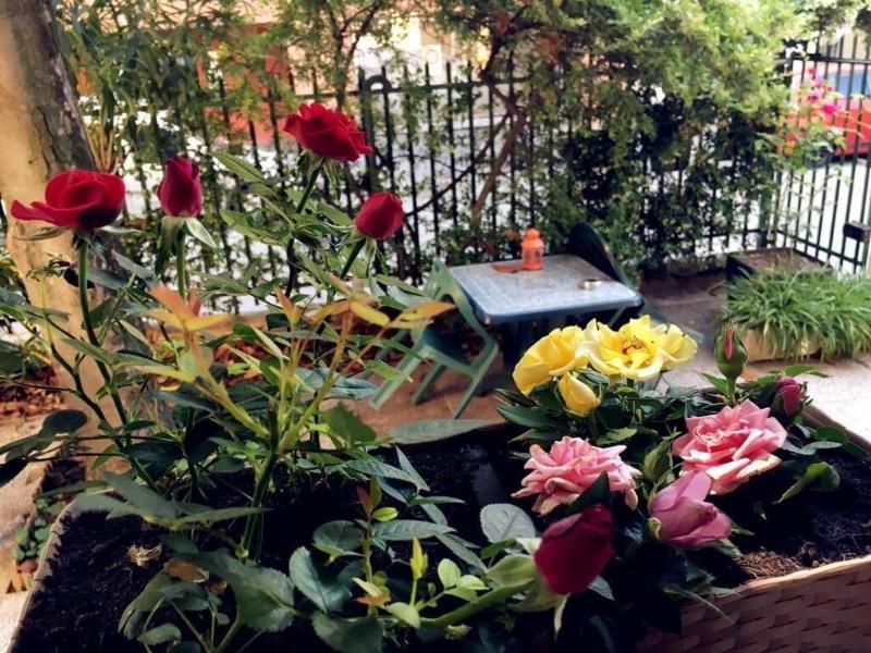 Hotel Brivio - Genel