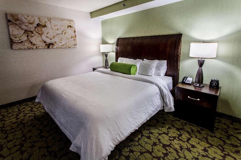 Hilton Garden Inn Staten Island - Oda