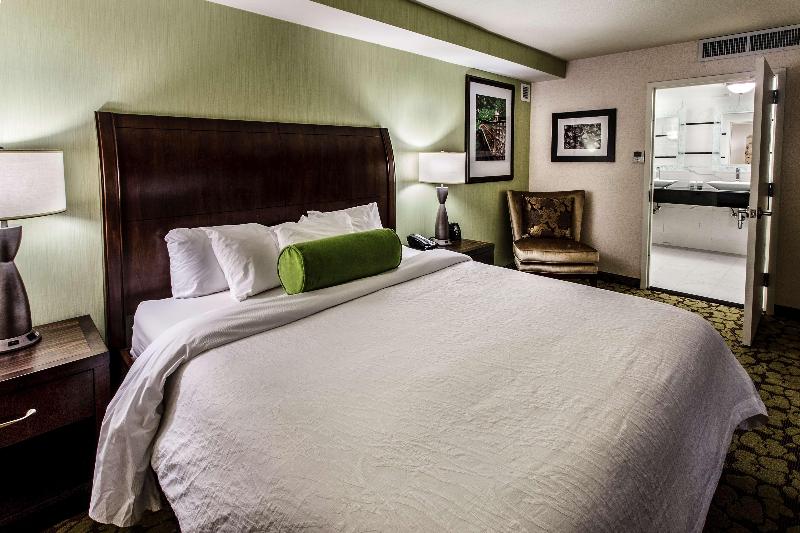 Hilton Garden Inn Staten Island - Oda