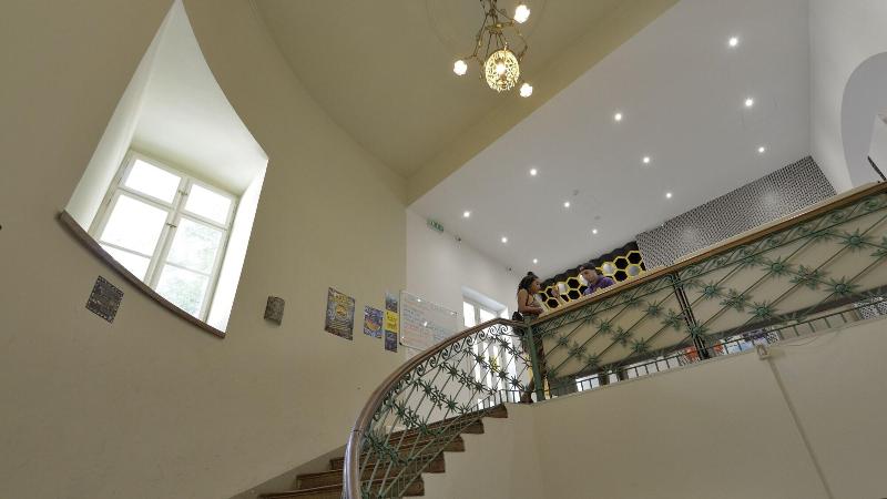 The Hive Party Hostel - Lobi