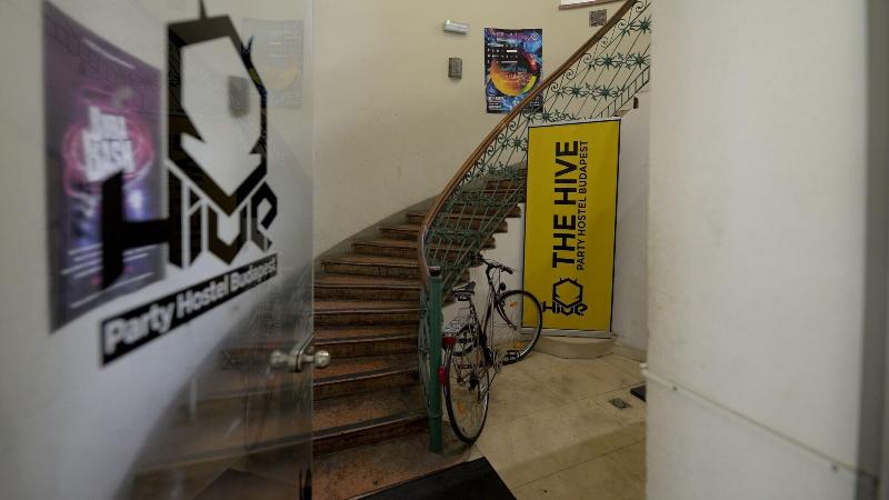The Hive Party Hostel - Genel