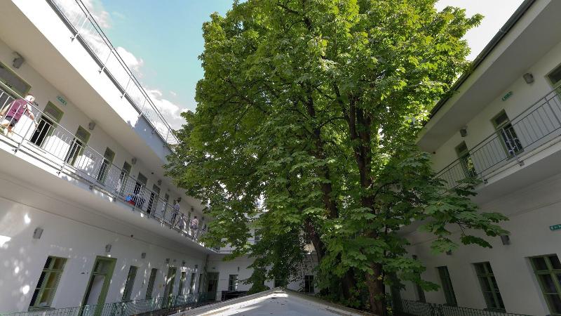 The Hive Party Hostel - Genel
