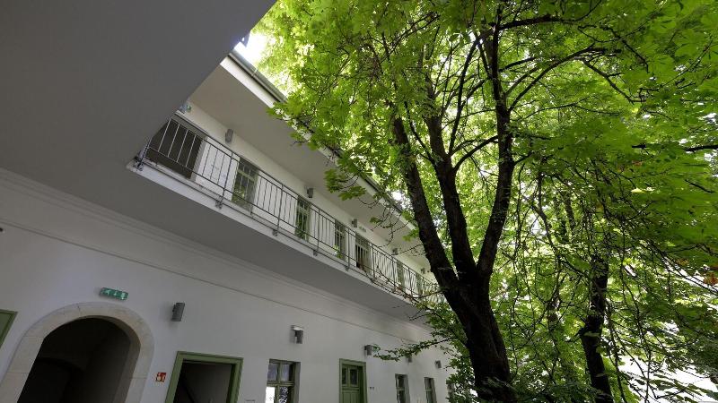 The Hive Party Hostel - Genel
