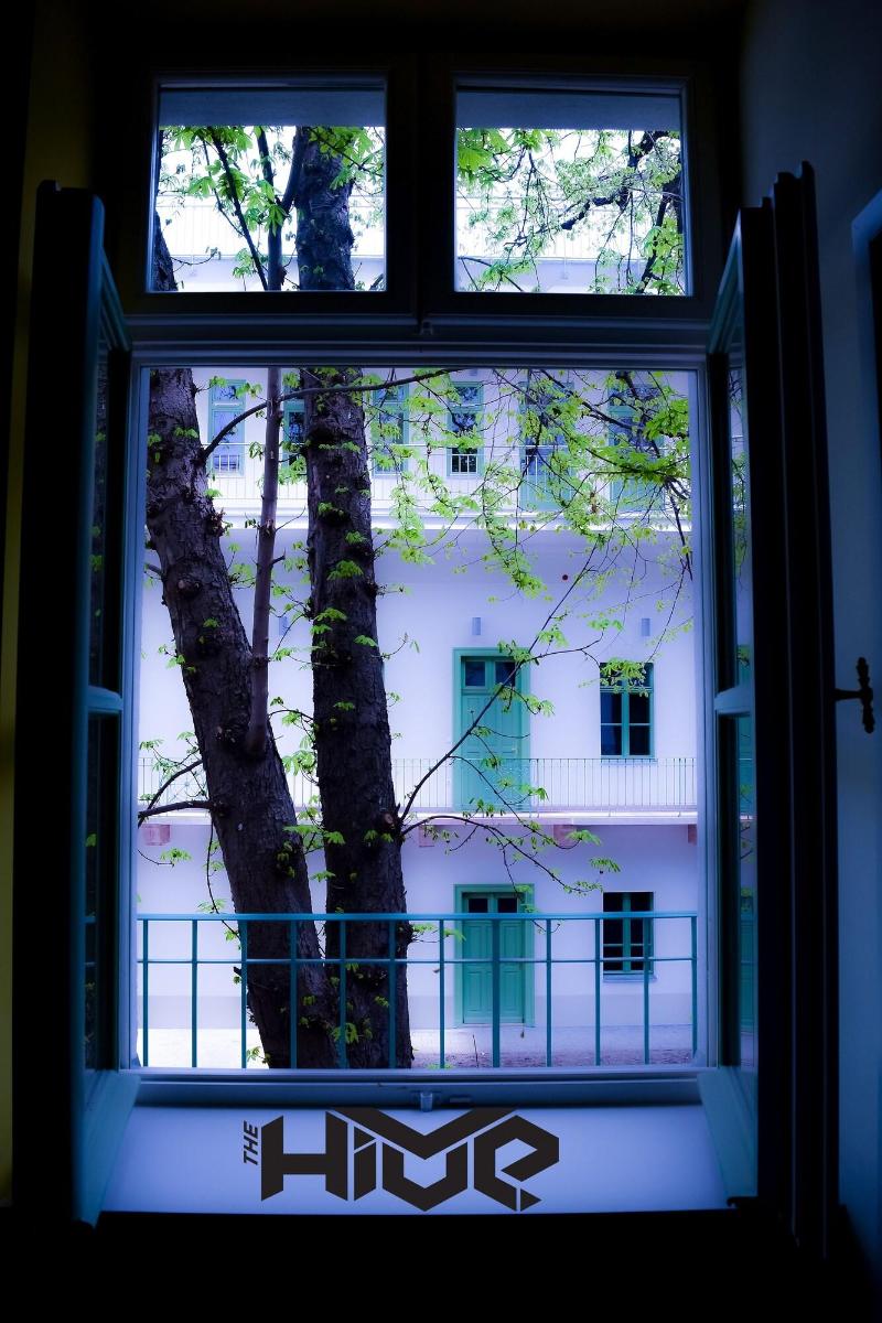 The Hive Party Hostel - Oda