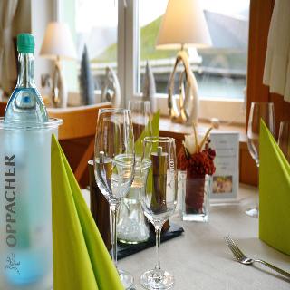 Hotel Elbparadies fotoÄŸrafÄ±