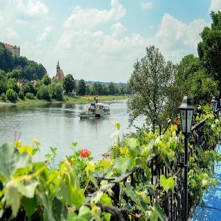 Hotel Elbparadies fotoÄŸrafÄ±