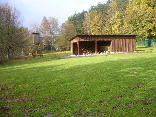 Hotel Am Wildpark fotoÄŸrafÄ±