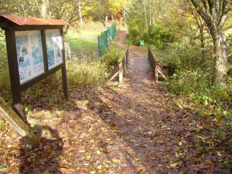 Hotel Am Wildpark - Genel