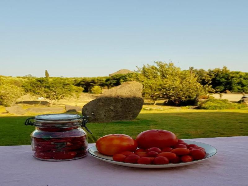 Hotel Su Nuraxi - Genel