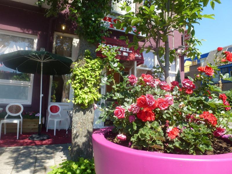 Hotel Isis - Genel