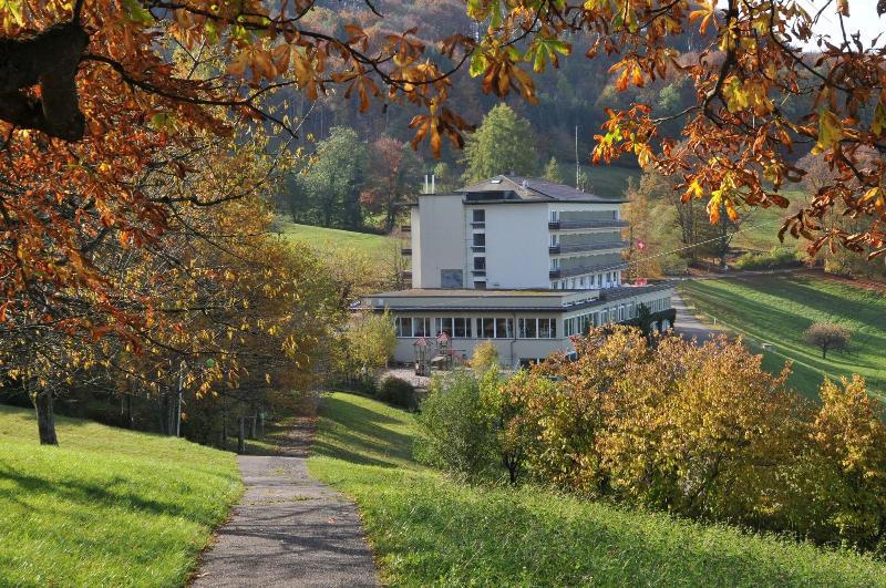 Bad Ramsach Quellhotel - Genel