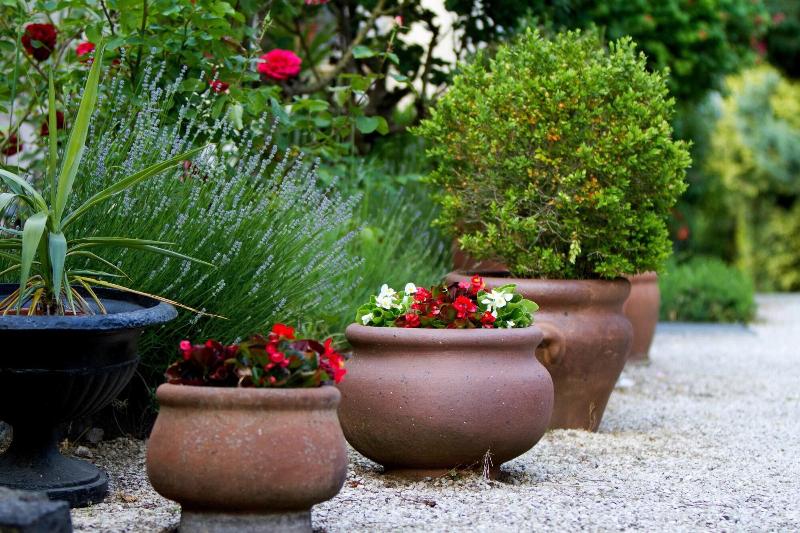 Albergo Giardino - Genel