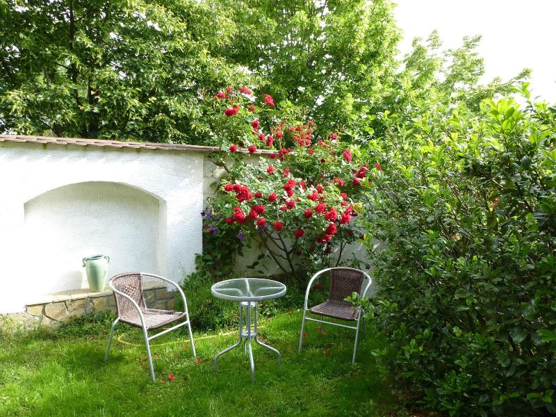 Albergo Giardino - Teras