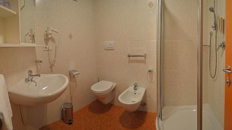 Hotel Trenker - Oda