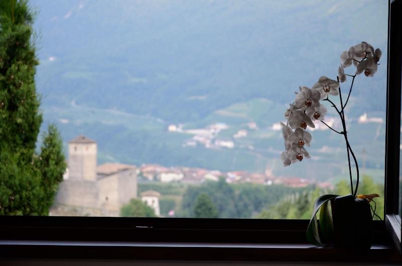 B&B al Trifoglio - Genel