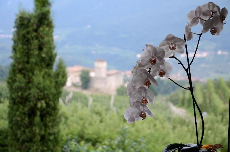 B&B al Trifoglio - Genel