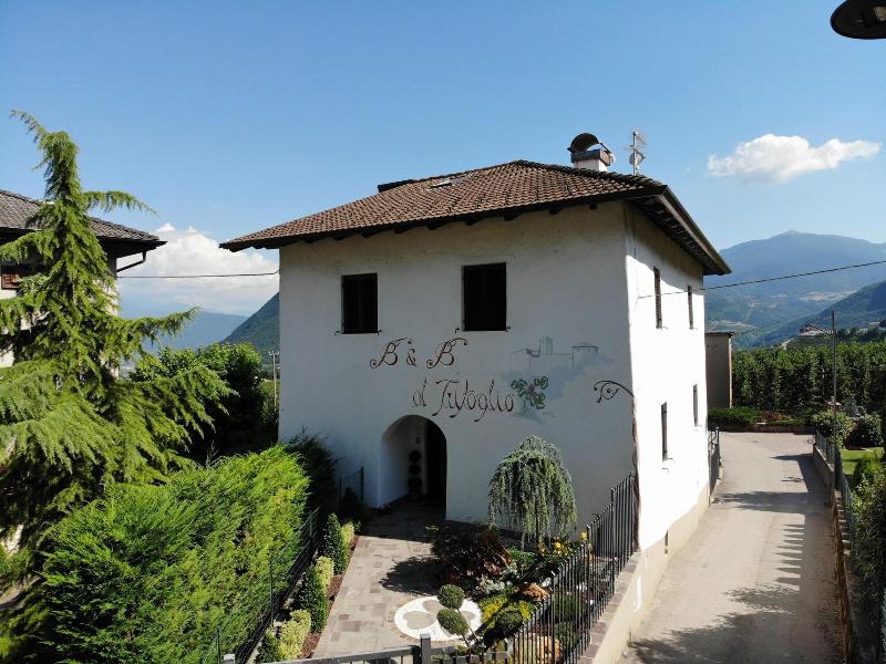 B&B al Trifoglio - Genel