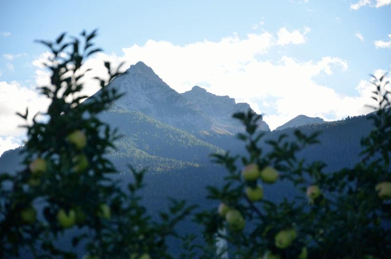 B&B al Trifoglio - Oda