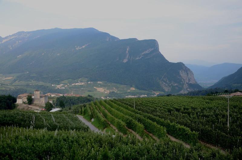 B&B al Trifoglio - Oda