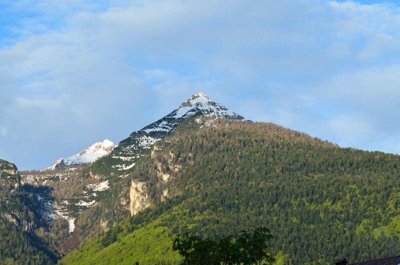 B&B al Trifoglio - Oda
