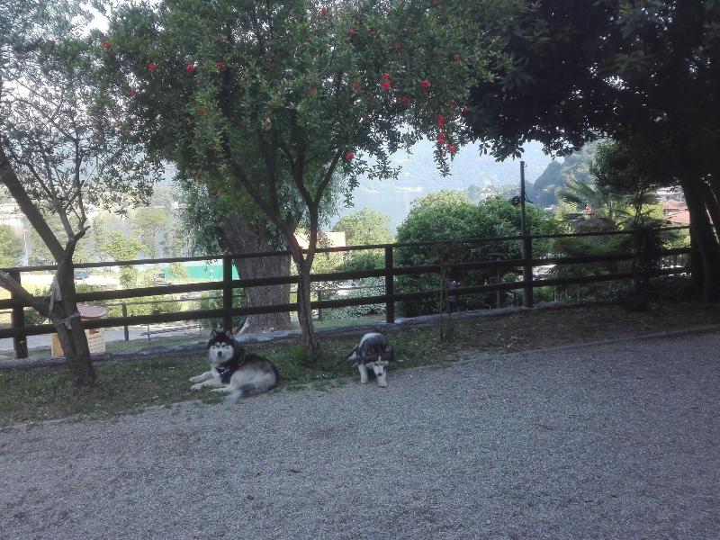 Hotel Bocciolo - Genel