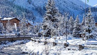 Hotel Schwarzwand fotoÄŸrafÄ±