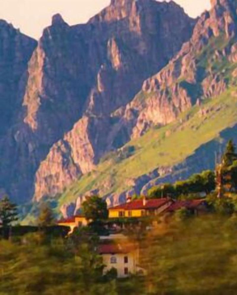 Hotel La Bergamina - Genel