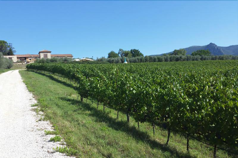 Vallantica Resort & Spa - Genel