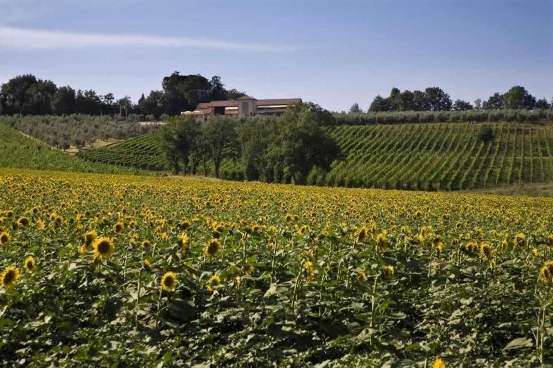 Vallantica Resort & Spa - Genel