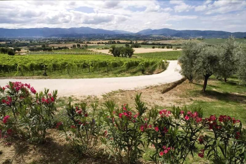 Vallantica Resort & Spa - Genel