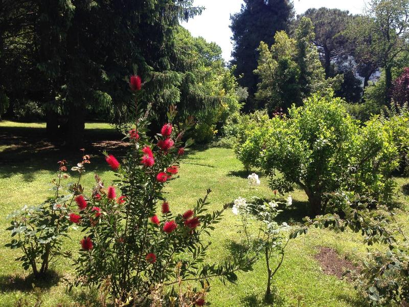 Villa Abbamer - Genel